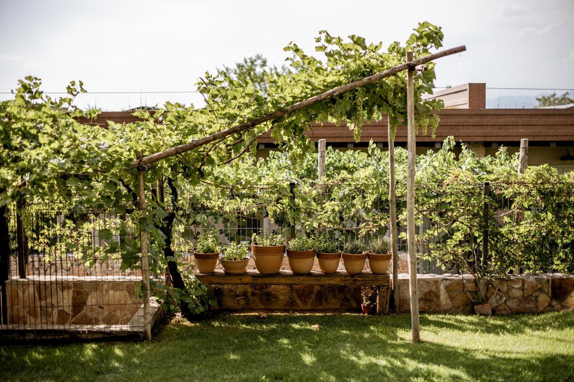 Le Greghe Suites Lazise Exterior foto